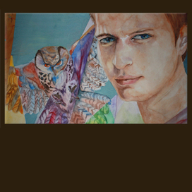 Взгляд филина