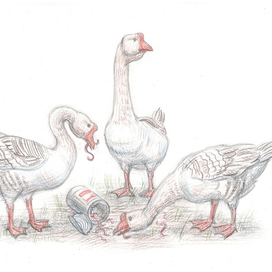 иллюстрация. Юрий Третьяков "Толстый мальчишка Глеб"( "Речь"2015)