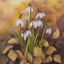 Подснежники