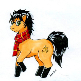 Пони-Поттер