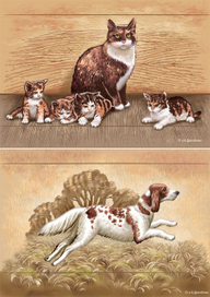 Домашние звери