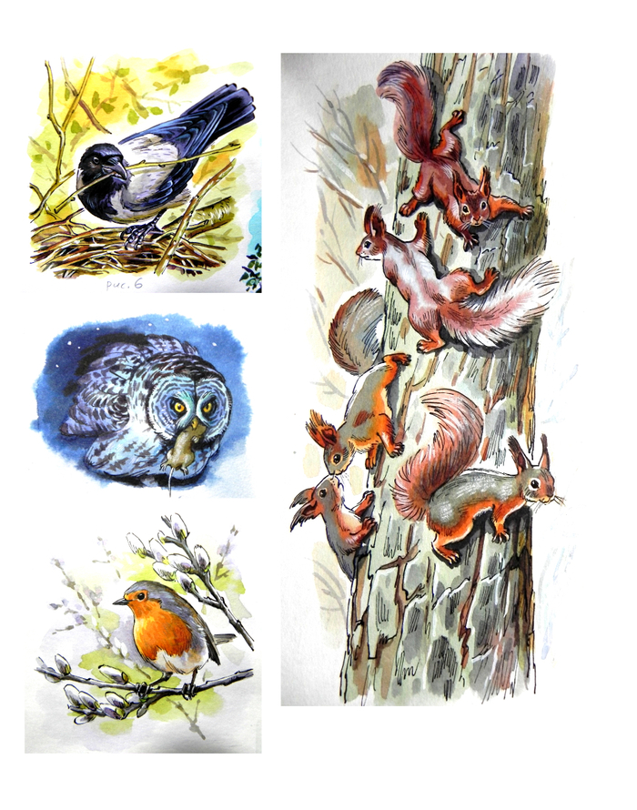 Для журнала "Юный натуралист"