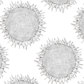 Паттерн "Подсолнухи"