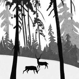 северные леса