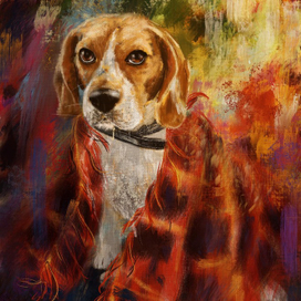 Осенний бигль 