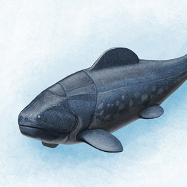 Дунклеостей