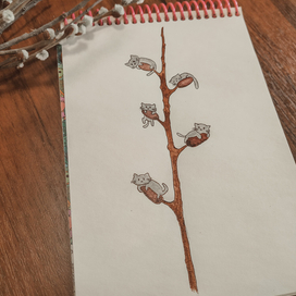 Вербокотики