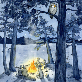 Иллюстрация к книге "Садовый ёжик Шур"