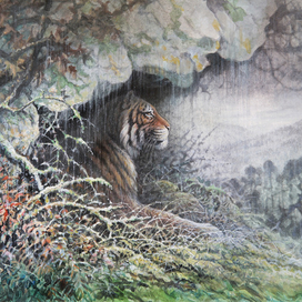 Амба. В урочище Катэна.