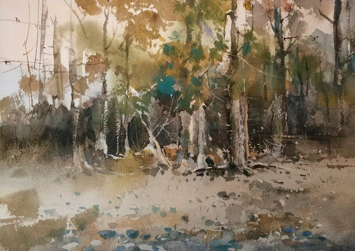 Сосны на берегу Катуни