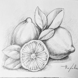 графическая коллекция фруктов