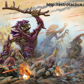 воин камари