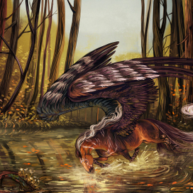 Сказочное болото