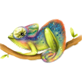 Chameleon🌴
