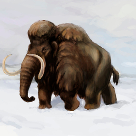 Иллюстрация для Музея "Пермь"