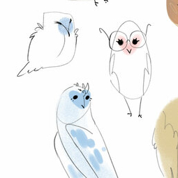 owl sketches