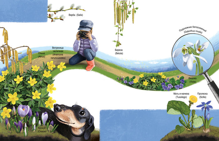 Подснежники