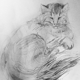 Барсик - знатный котяра!