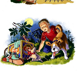 Ночные приключения