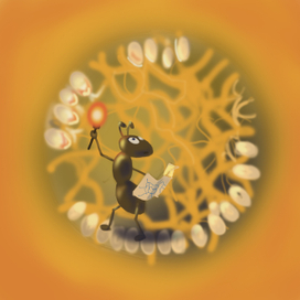 Тыквенный путешественник