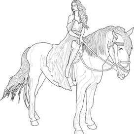 Линейная иллюстрация, девушка на лошади