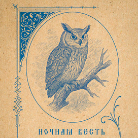 Ночная Весть