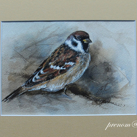 Воробьишко