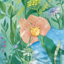 "Совиный волк"