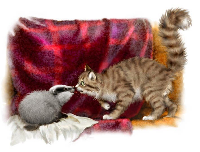 Новый жилец