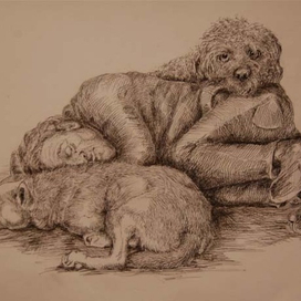 Любят какой есть