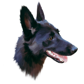 Рисунок собаки по фотографии заказчика 500 руб.