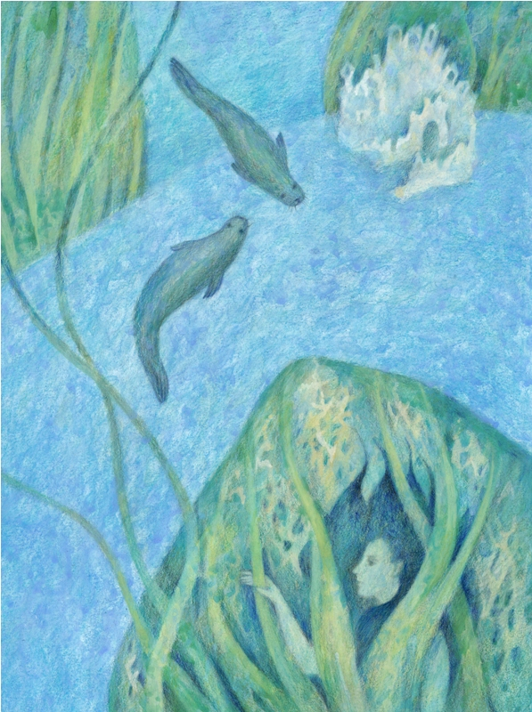 Мак-Кодрам Тюлений 1