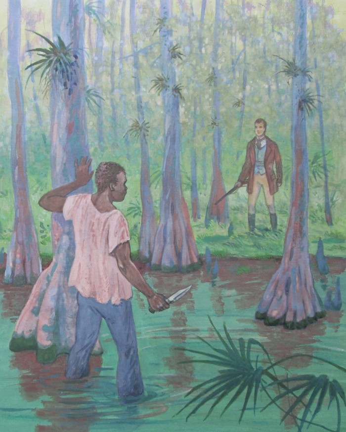 Майн Рид "Квартеронка" (9)