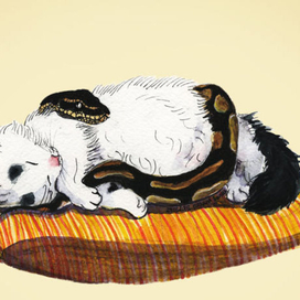 Саймон и региус