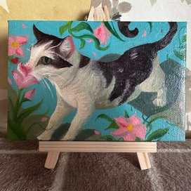 Лаки в планке