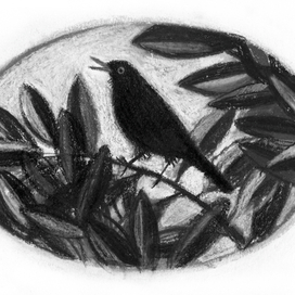 Тень на каменной скамейке