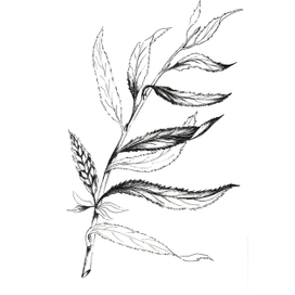 Рисунок на ткани