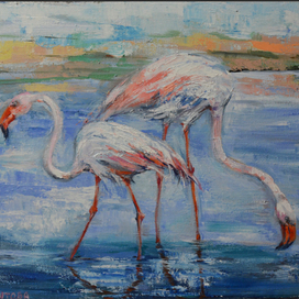 Два фламинго