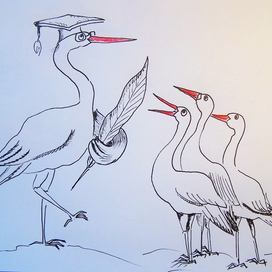 "Высшее образование"