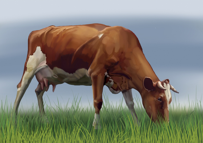 корова на лугу