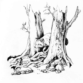 ** Лис и баночка мёда **