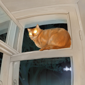 Кошка в окошке