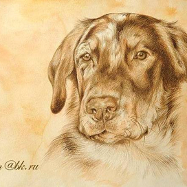 Месье Лазар