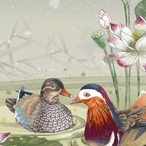 Иллюстрация для обложки