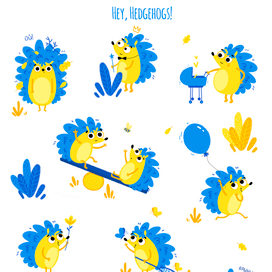  Hedgehogs