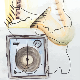 медведи музыкальные