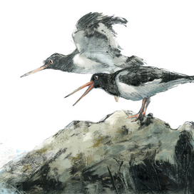 Иллюстрация к рассказу Эдгара По "Низвержение в Мальстрем"