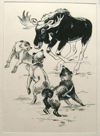 Скотт О'Делл