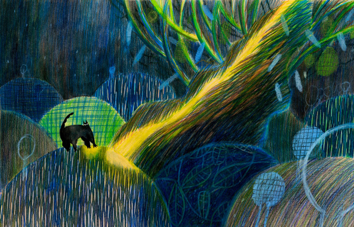 Иллюстрация для книги "Сильный кот"