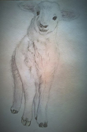 на новый годик